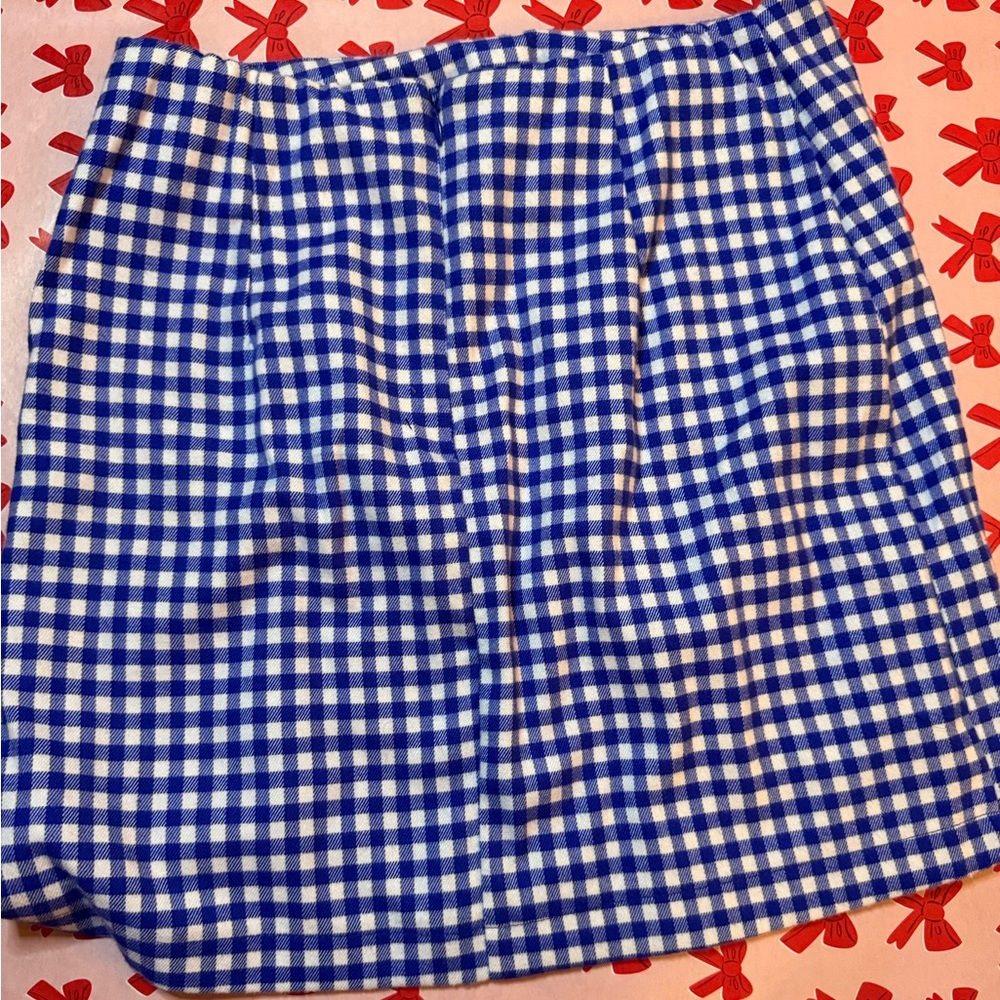 Blue and White Checkered Skirt